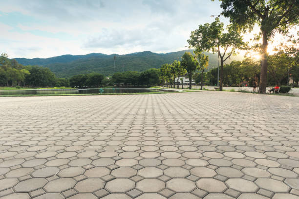 Best Concrete Paver Driveway  in Temple Terrace, FL