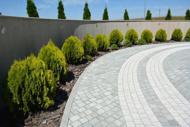 Best Driveway Pavers Near Me  in Temple Terrace, FL