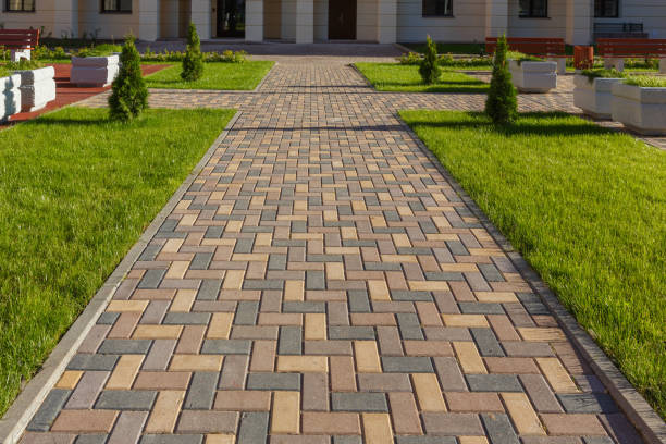 Best Paver Driveway Replacement  in Temple Terrace, FL